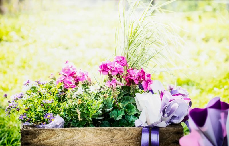 Flower Bed Installation