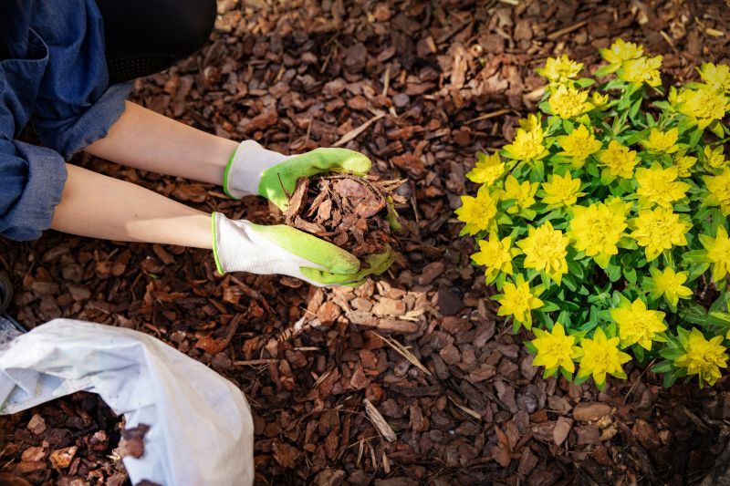 Flower Bed Installation