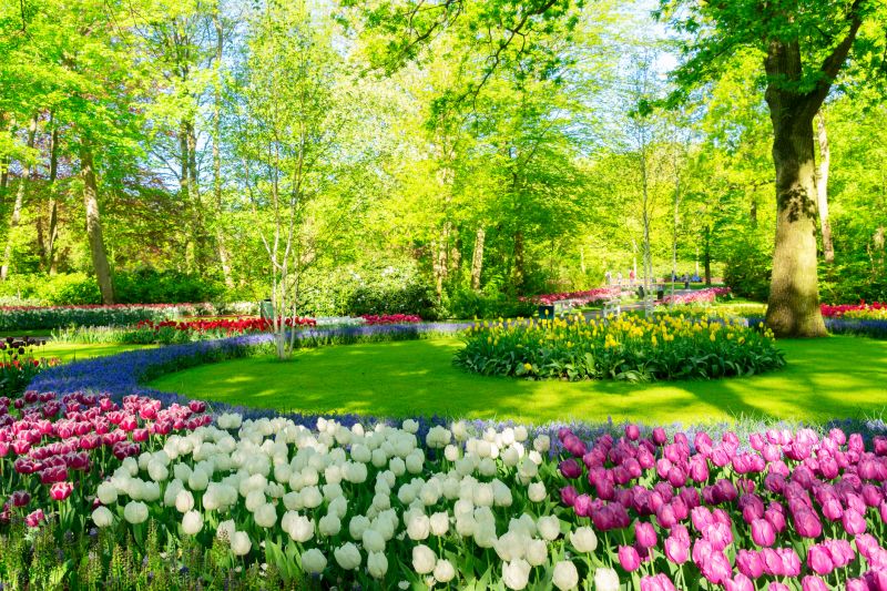 Colorful Spring Flower Bed