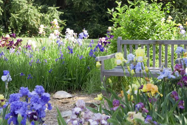 Flower Garden Revival