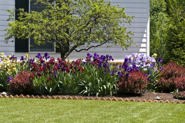 Flower Bed Replacement